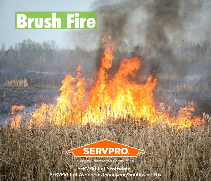 Brush fire