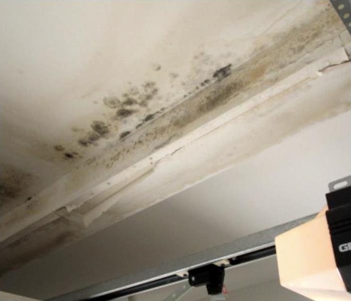 A drywall with mold